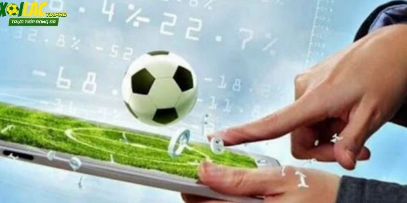 Người chơi cần tổng hợp các thông tin quan trọng khi soi