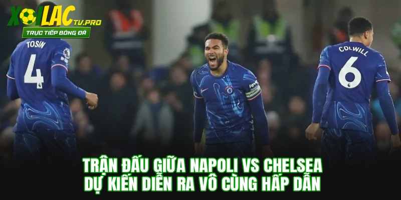 Trận đấu giữa Napoli vs Chelsea dự kiến diễn ra vô cùng hấp dẫn